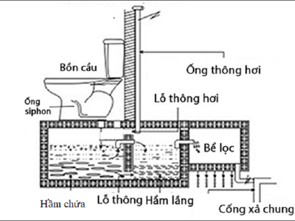 Tại sao bồn cầu thoát nước chậm?