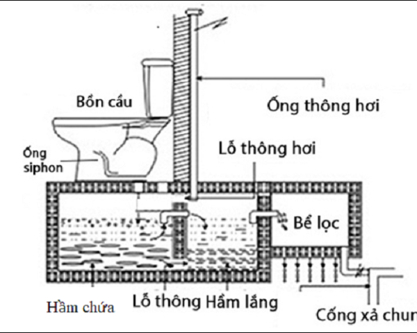 Tại sao bồn cầu thoát nước chậm?